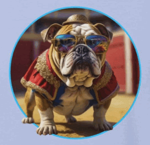 bulldog wearing colorful sunglasses dressed as a matador. the mad bandit