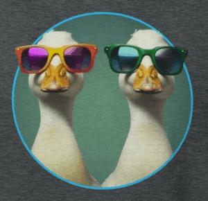 duck duo couple wearing colorful sunglasses. the mad bandit