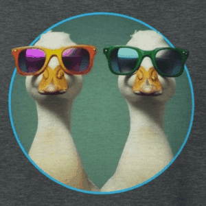 duck duo couple wearing colorful sunglasses. the mad bandit
