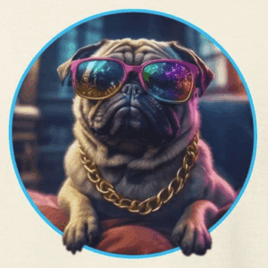 pug wearing colorful sunglasses and gold chains looking tough. the mad bandit