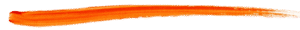 , The Charter